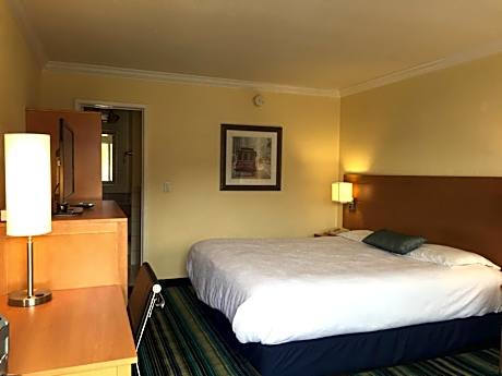 King Room - Non-Smoking