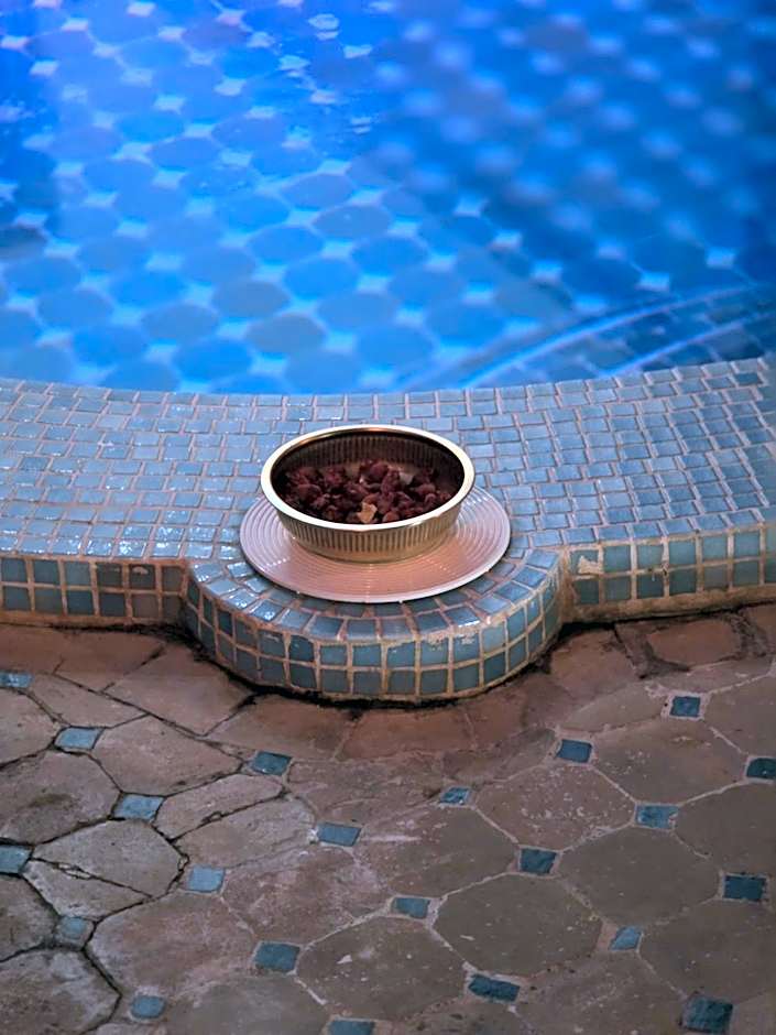 Riad Aloes & Spa