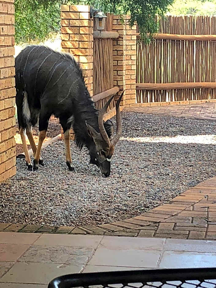 Makhato Bush Lodge 111