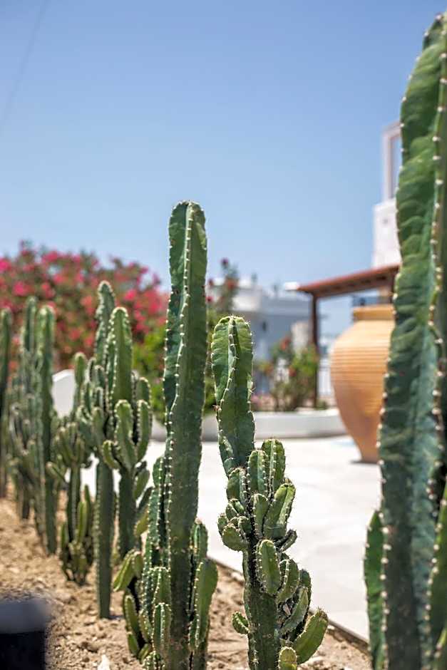 Nόka Suite Apartments