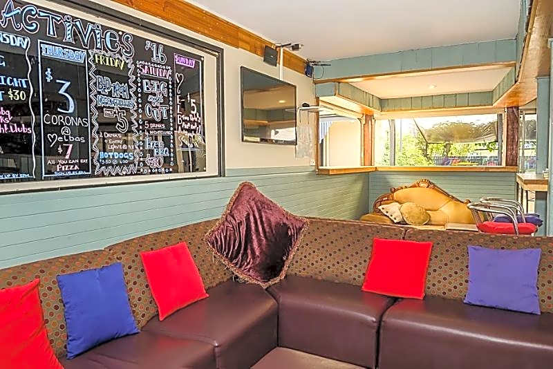 Budds In Surfers Backpackers