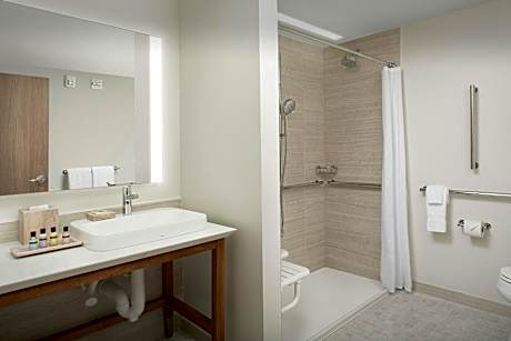 Premium, 1 Bedroom Suite, 1 King, Private Sofa bed, Corner room