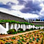 Rijk's Wine Estate & Hotel