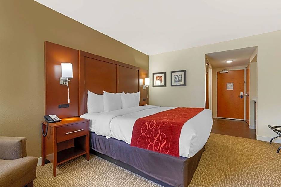 Comfort Inn & Suites Macon West