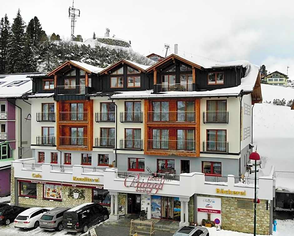 Hotel Binggl