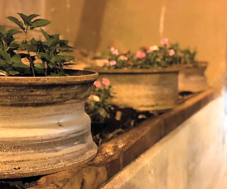 Chalés no meu quintal