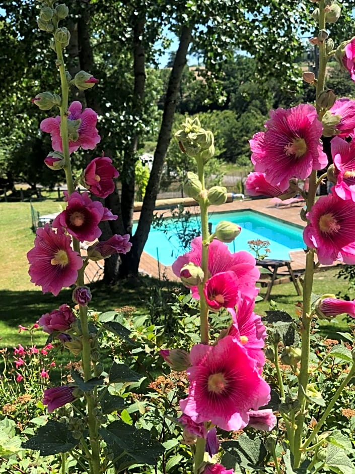 Maison d'hôtes Ourdeaux et Gite Chez Rouchon