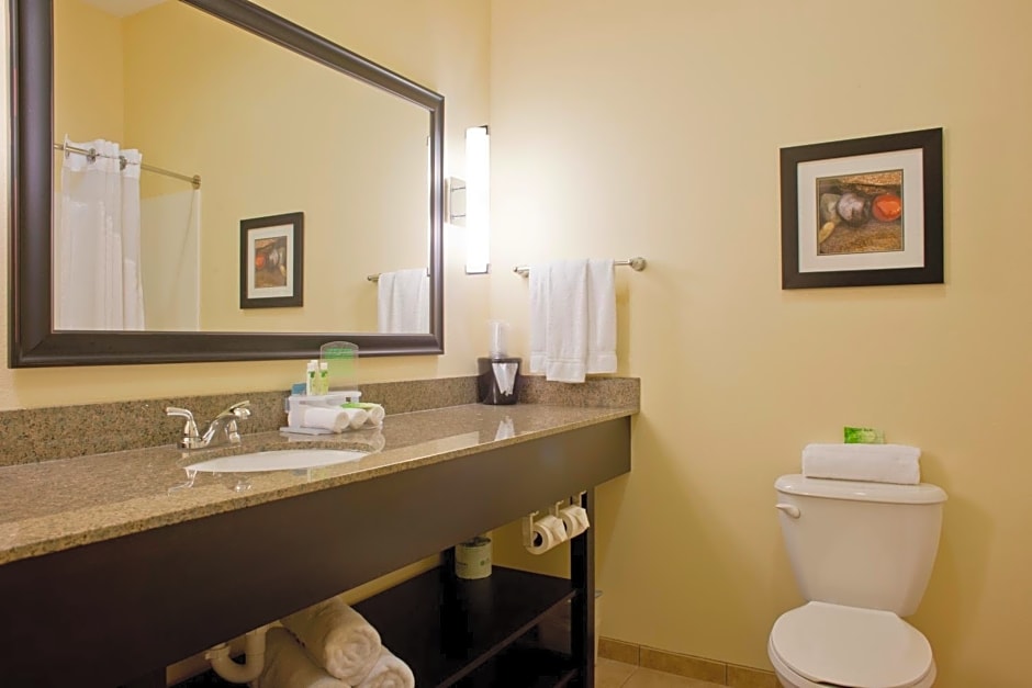 Holiday Inn Express Hotel & Suites Prattville South