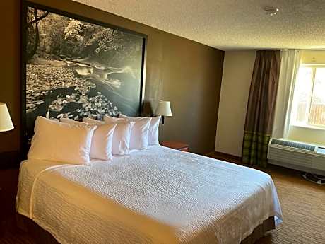 Super 8 by Wyndham Colorado Springs Airport