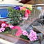Hotel Krone Rüdesheim