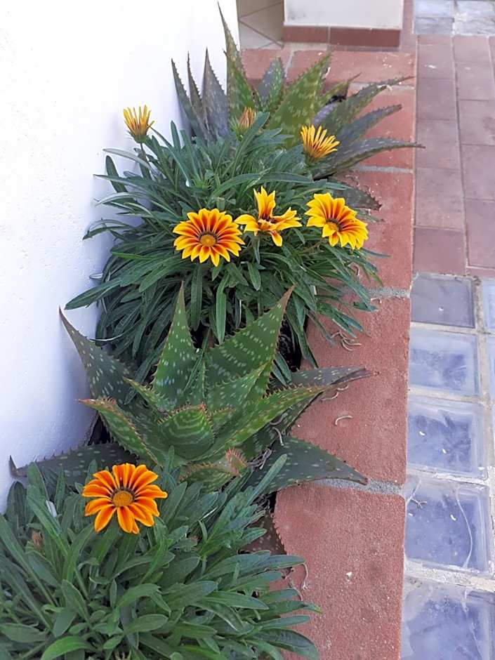 Rispescia Casa Vacanze Grosseto