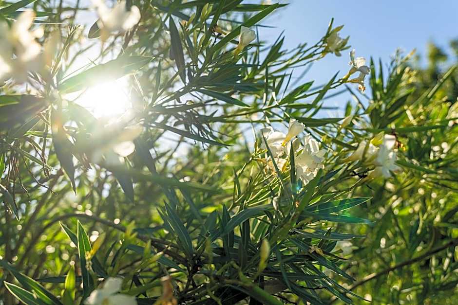 Hôtel des Trois Massifs