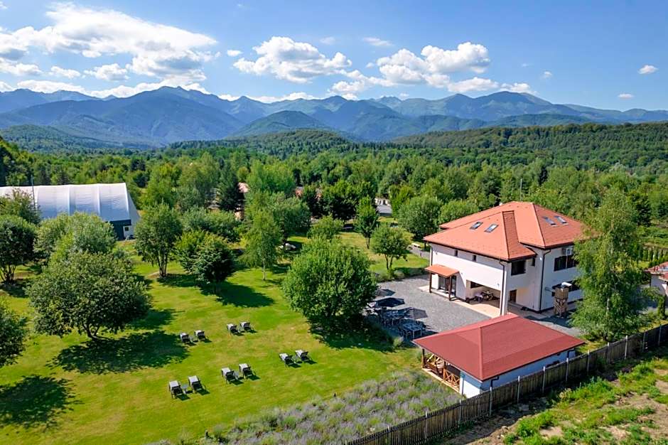 Pensiunea Negoiu