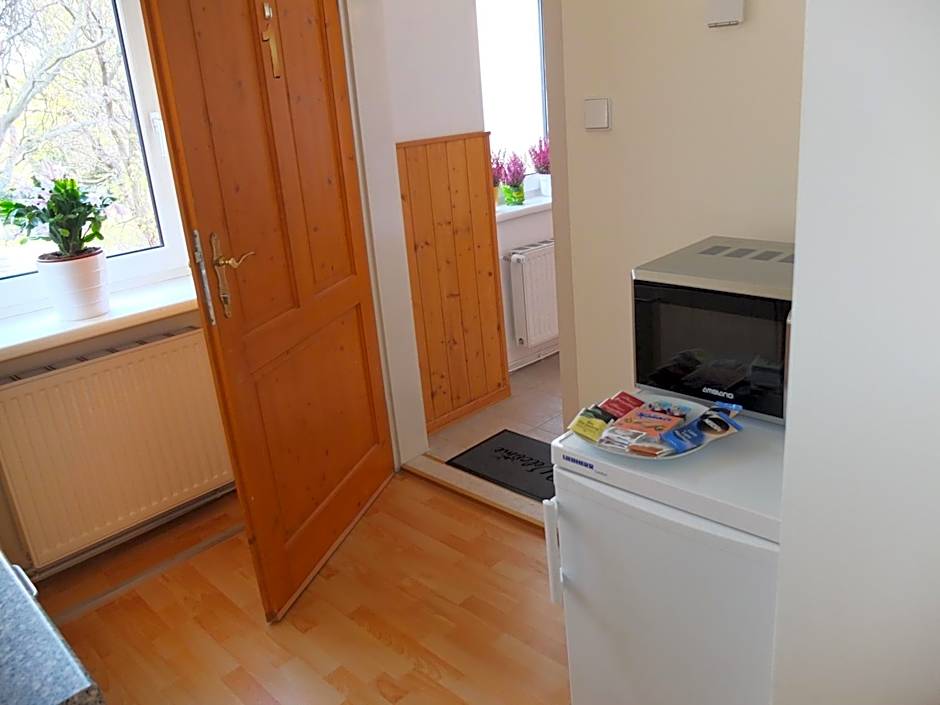 Leopoldauer Apartment