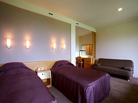 Deluxe Twin Bed Room