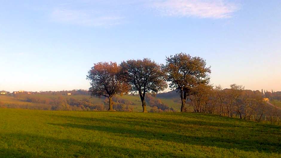 Poggio Dei Prugnoli