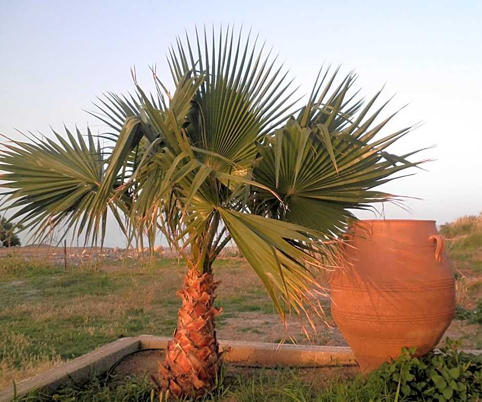 Haridimos Apartments