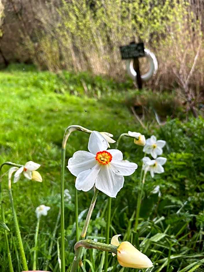 Trengilly Wartha Inn