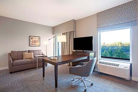 1 King Micro/Fridg Balcony Studio Suite Ns