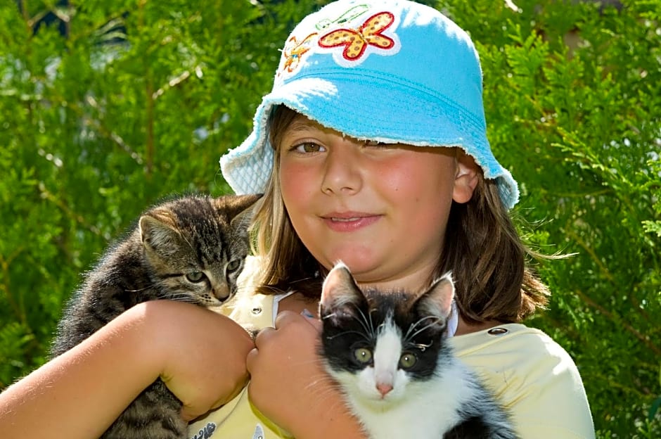 Bauernhof Schornlehen