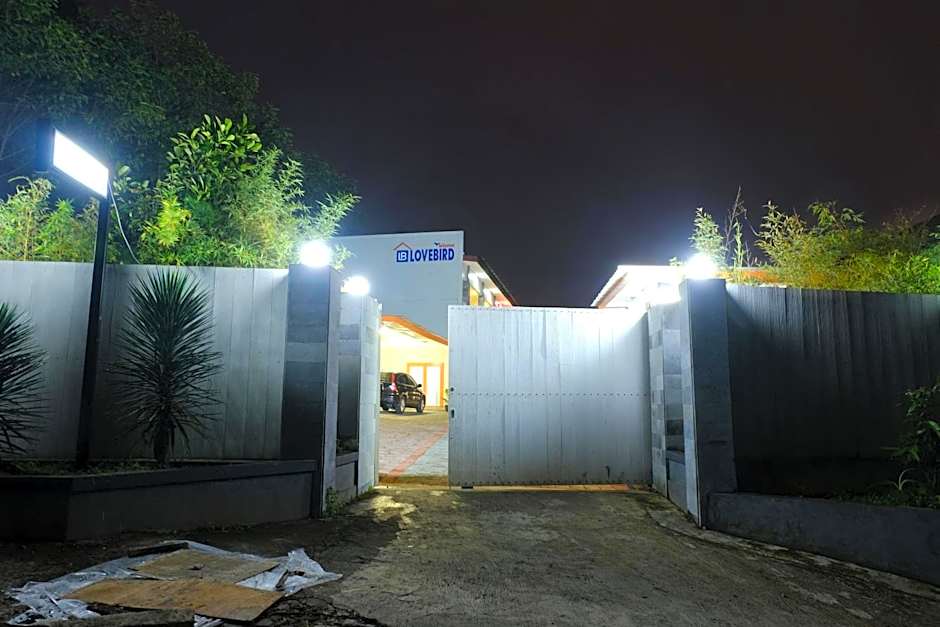 Wisma Lovebird