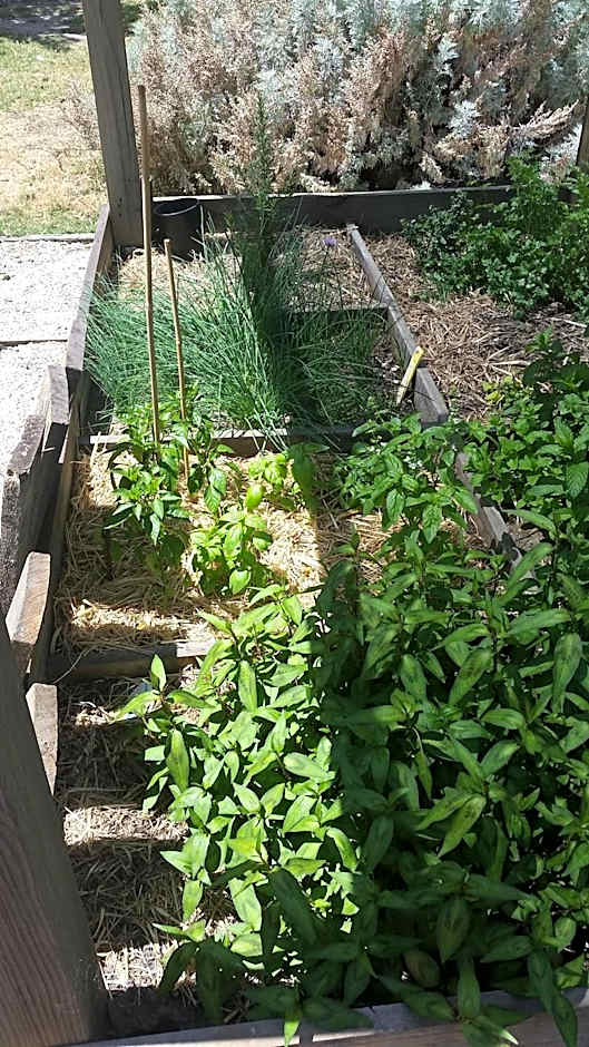 YHA Grampians Eco, Halls Gap