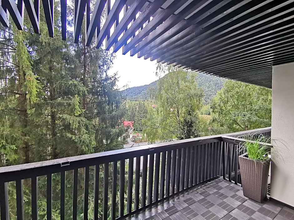 Alpin Aparthotel Ap 508 Poiana Brasov- acces la piscină gratuit