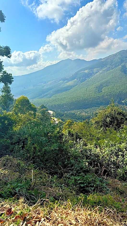 Magoebaskloof Mountain Lodge