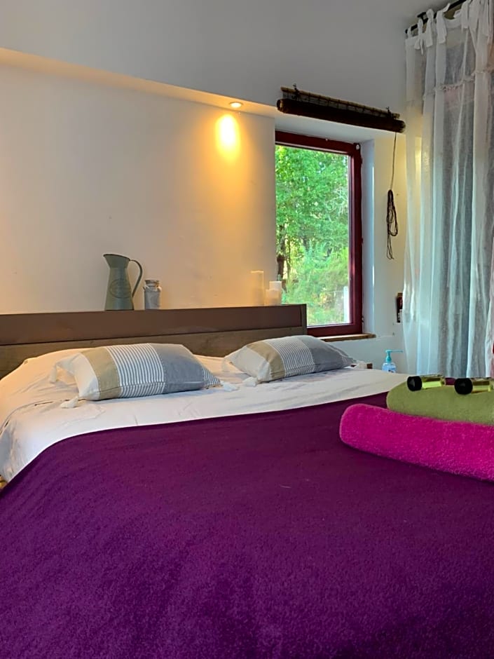 Hacienda de la Canopée avec piscine chauffée au sel