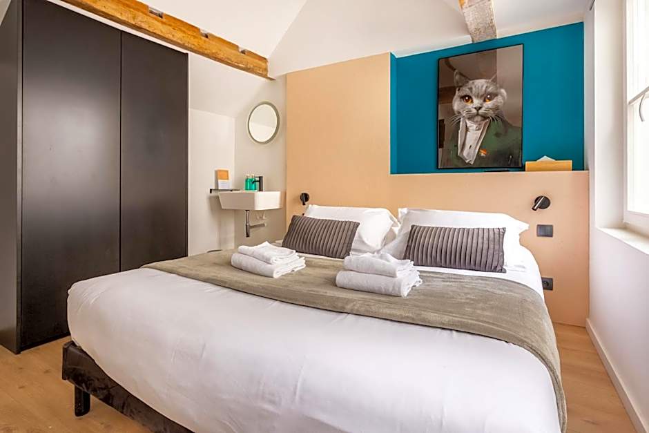 Au Chat Qui Dort Lille - Magasin