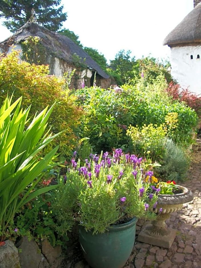 Middletown Farmhouse B&B