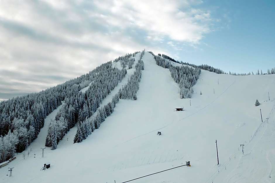 The Josie Hotel, Autograph Collection