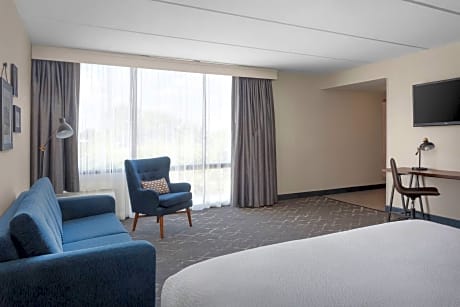 Room, 1 King Bed with Sofa bed (1 King Bed and 1 Double Sofa Bed)