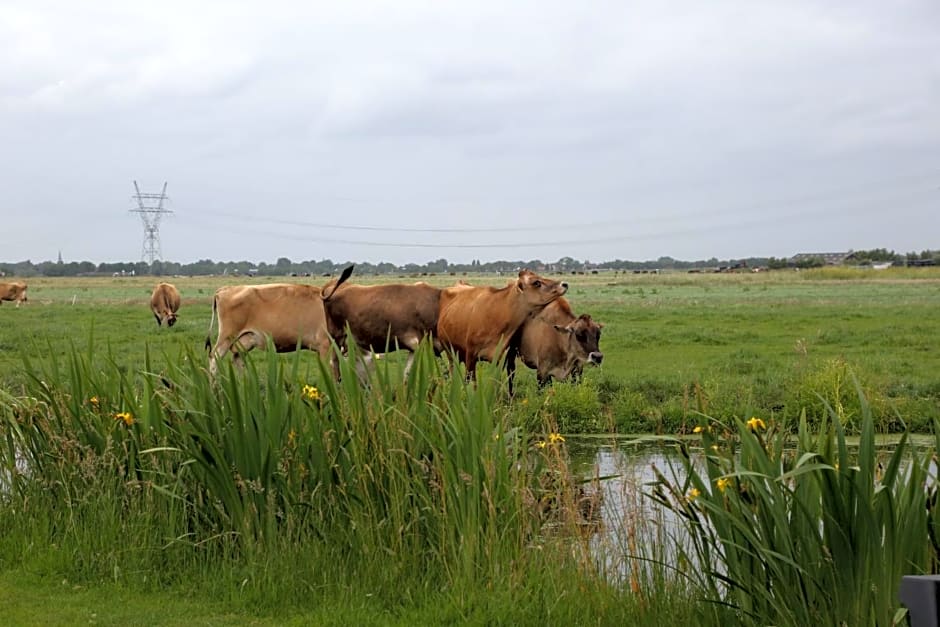 Bed and Stay Amsterdam