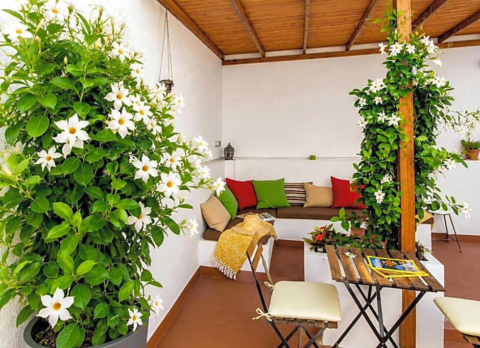 City Garden Bed and Breakfast