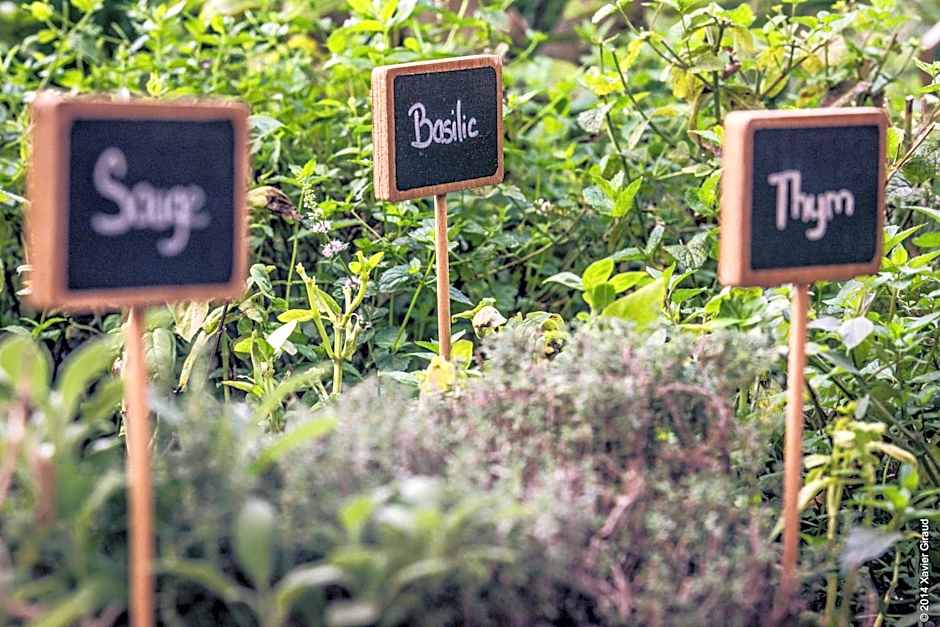 Hotel****Spa & Restaurant Cantemerle