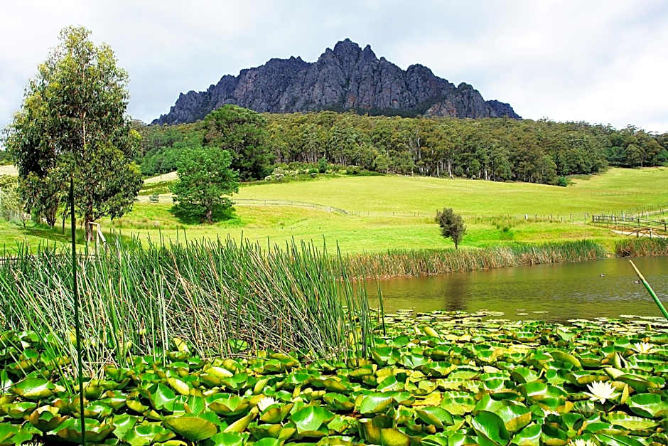 Silver Ridge Retreat