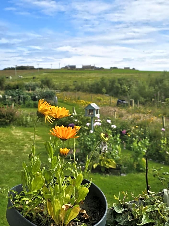 Old School B&B Super King Exclusive 5 Room private suite