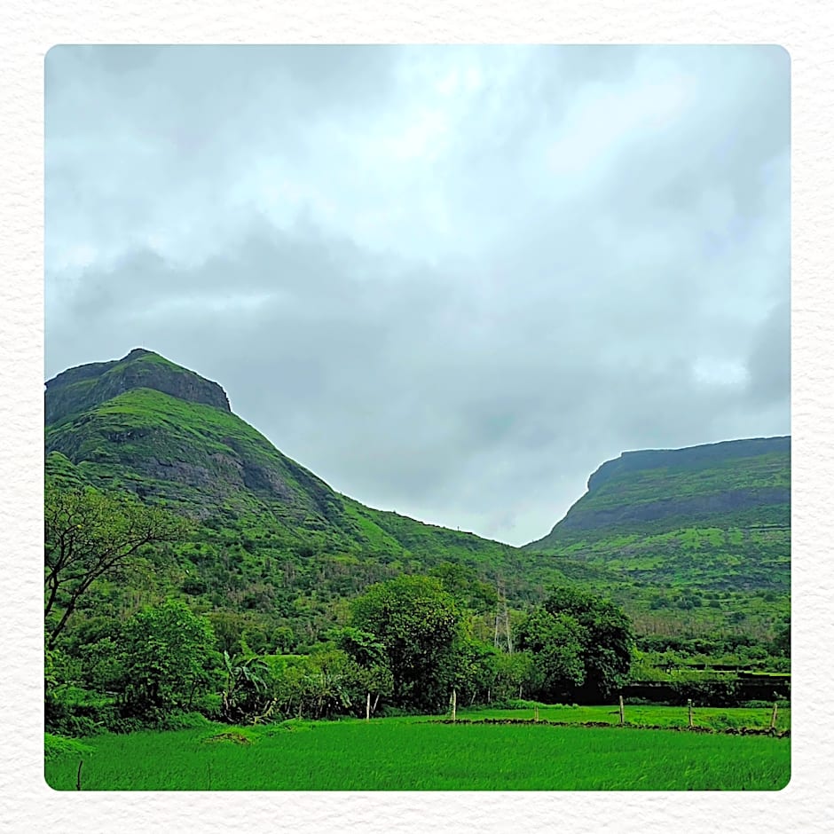 Dew Drops Boutique Retreat