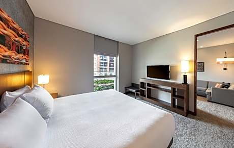 King Suite with Sofa Bed and Roll-In Shower - Disability Access