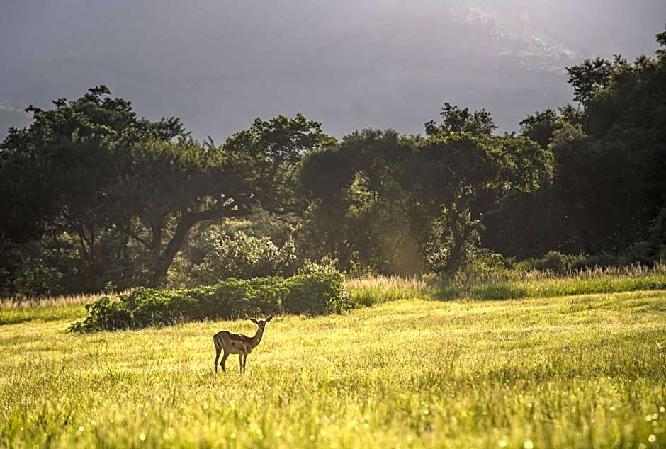 Caracal Lodge
