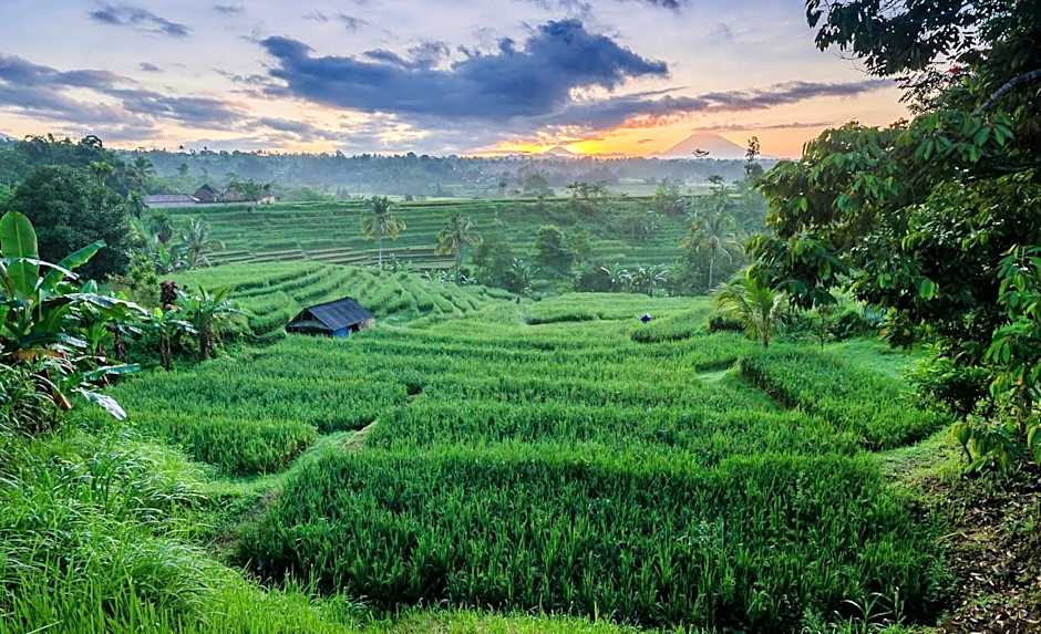 Ti Amo Bali