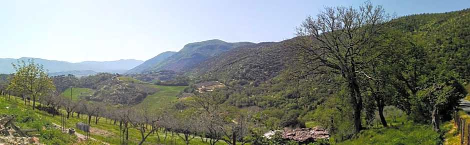 Montanari Agrivillage