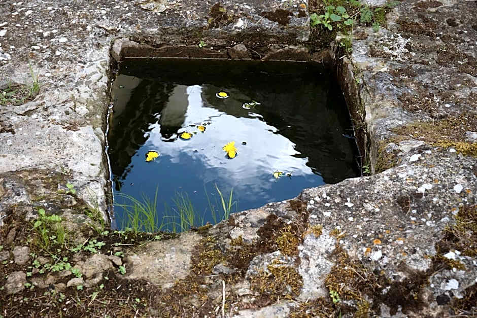 Rebeccu Arte e Ospitalità - Ostello