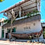 The Bodhi Tree Karimunjawa