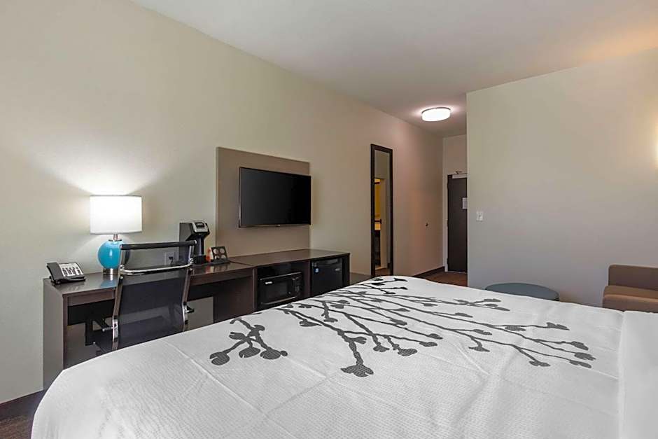 Sleep Inn & Suites Tampa South