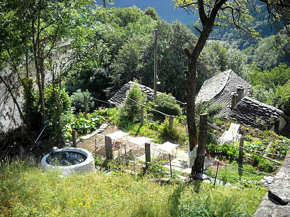 Guesthouse By Wild