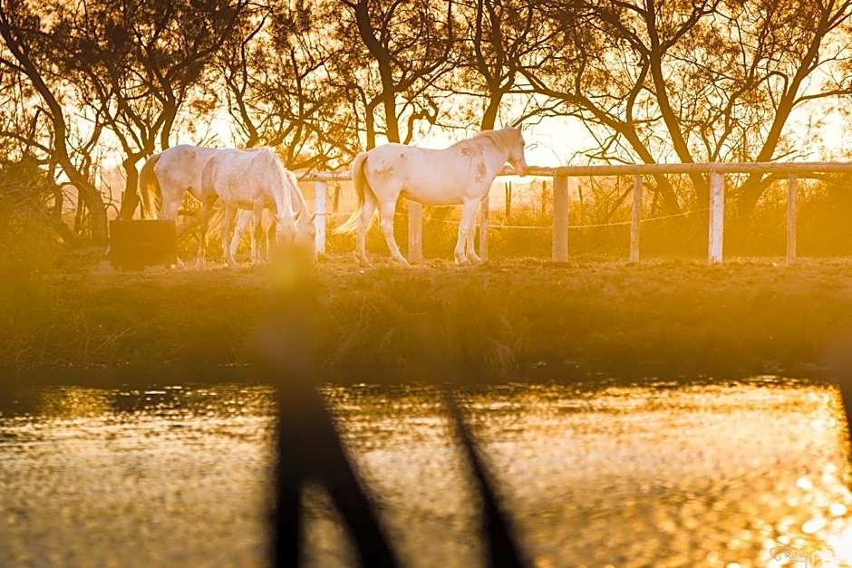 Mas de la Fouque - Hôtel & Spa