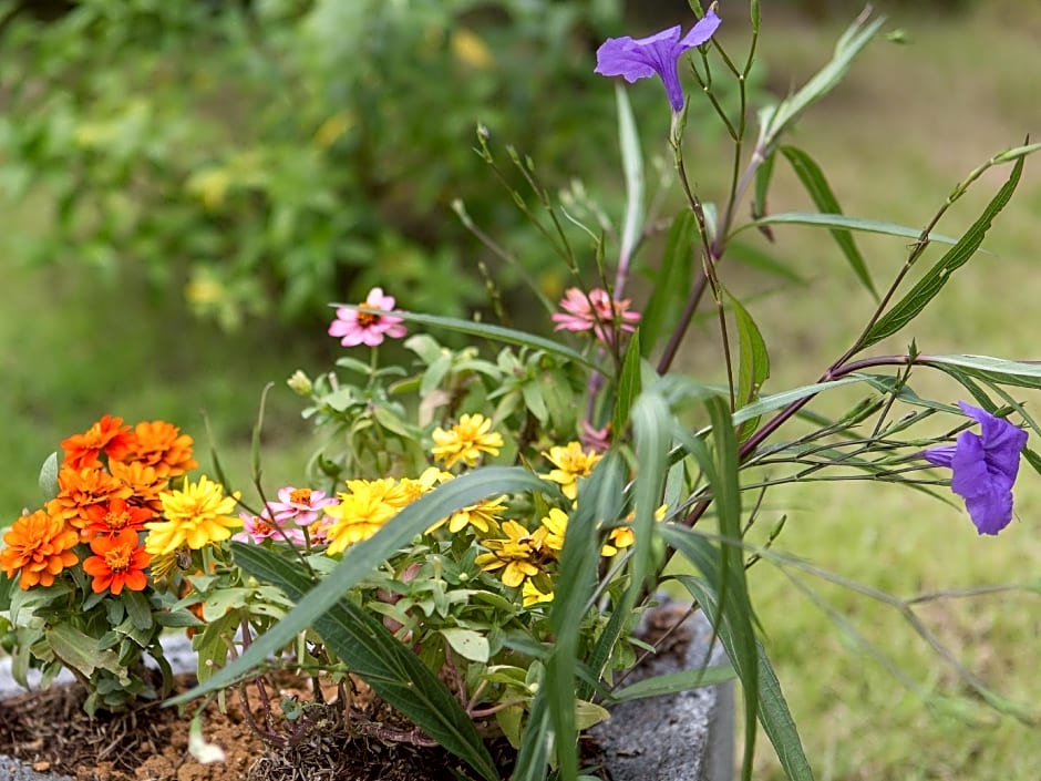 Thai Smile Bungalows