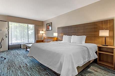 1 King Bed, Nonsmoking, Accessible